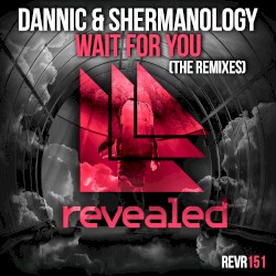 Wait for You (The Remixes)