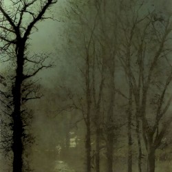 Le cortège dans la brume