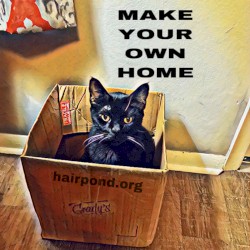 Make Your Own Home