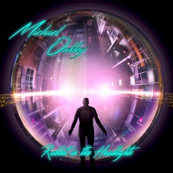 Rabbit in the Headlights