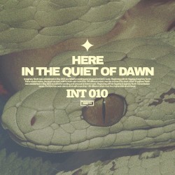 In the Quiet of Dawn