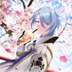 Kamisato Ayato Mix Collection