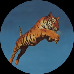 Galernaya Live Sessions, Vol. 1