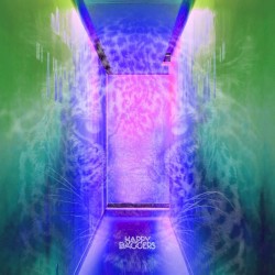 Hold It Down - Domicile Disco Remix