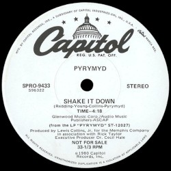 Shake It Down / First Things First