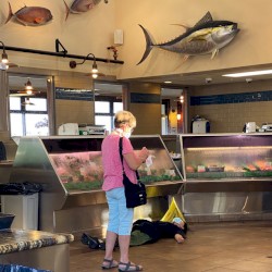 Spoiled little brat (six impala Version)