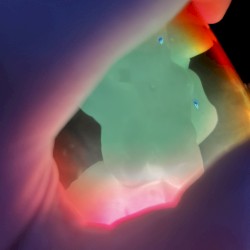 Public Domain + the Monster Dance