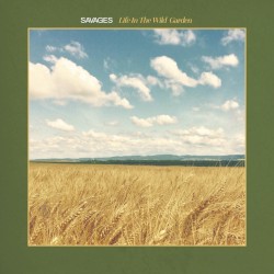 Life In The Wild Garden