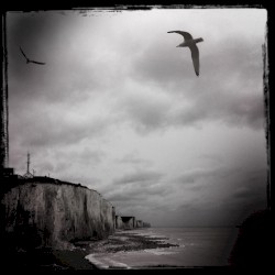 Streams of Consciousness