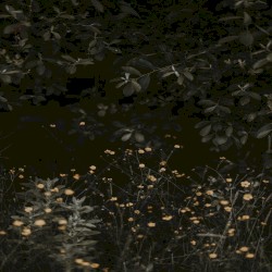 Nothing Left to Give