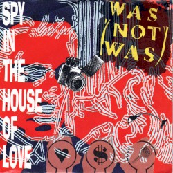 Spy in the House of Love