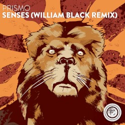 Senses (William Black remix)