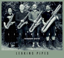 Leaking Pipes