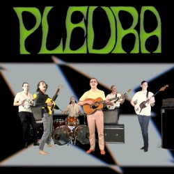 Pleura