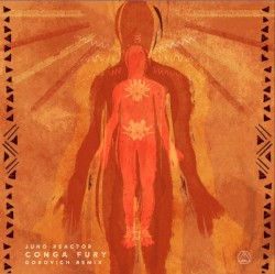 Conga Fury (Gorovich Remix)