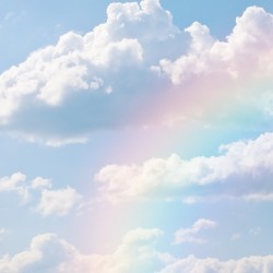 ｎｅｗ ｄａｗｎ 新しい夜明け