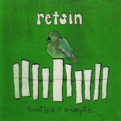 Sweet Luck of Amaryllis