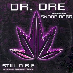 Dr. Dre - Still D.R.E. feat. Snoop Dogg (Amerigo Gazaway remix)