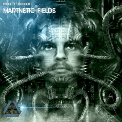 Project Sidologie: Martnetic Fields