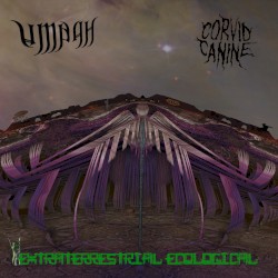 Extraterrestrial Ecological