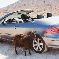 Prove the Mountains Move