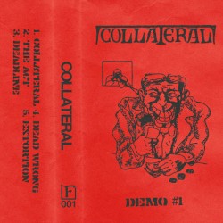 Demo #1