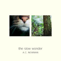 The Slow Wonder