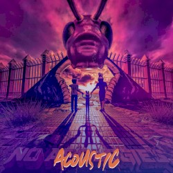 No Apologies (acoustic)