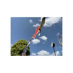 recordation 5
