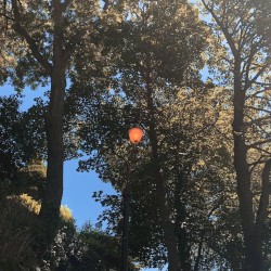 I Disappear / Warmth Alone