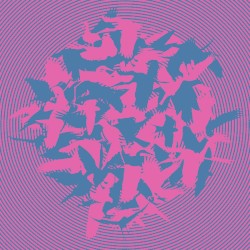 The Momentary Aviary