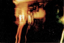 A Splitted Sanctuary