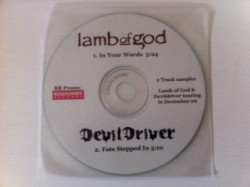 In Your Words / Fate Stepped In