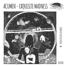 Exquisite Madness