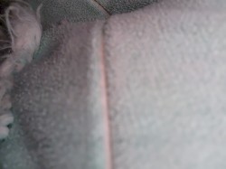 influx of field recorded shit music (12/14/22)