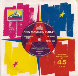 Pregnant for the Last Time