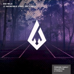 Invincible (remixes)