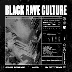 Black Rave Culture