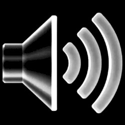 020: Blood is Thicker Than a Friend to None