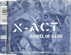 Barrel of a Gun