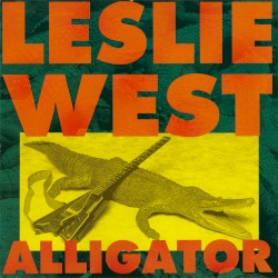 Alligator