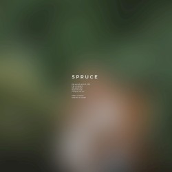 Spruce
