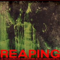 As You Mourn For Your Mother, So Do I Mourn For You