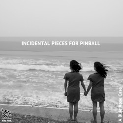 Incidental Pieces for Pinball