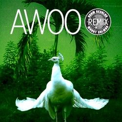 Awoo (Adam Aesalon & Murat Salman remix)