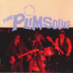 One Night in America