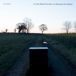 It's Not What You Said It's Because You Spoke