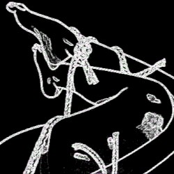 𝘵𝘪𝘦𝘥 𝘶𝘱, 𝘵𝘰𝘳𝘯 𝘢𝘱𝘢𝘳𝘵, 𝘧𝘦𝘥 𝘵𝘰 𝘵𝘩𝘦 𝘥𝘰𝘨𝘴