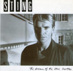 The Dream of the Blue Turtles