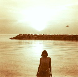 Invaded by Fireflies